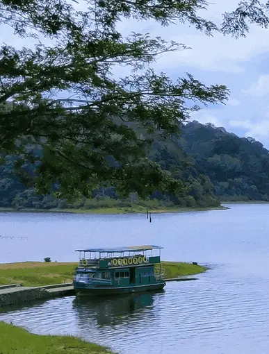 Kerala Honeymoon Image
